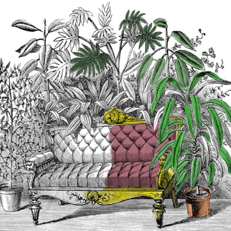 Illustration of a horticultural parlor with a couch surrounded by plants