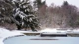 Frozen over water feature with small water fall going into the pond, surrounded on the left by large snow covered conifer trees, and bare branched brown trees in the background with a white sky slightly visable at the top.