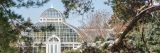 A glimpse of the Conservatory through the branches of trees