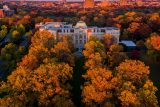 aerial view of the tulip tree alle in fall with bright orange foliage