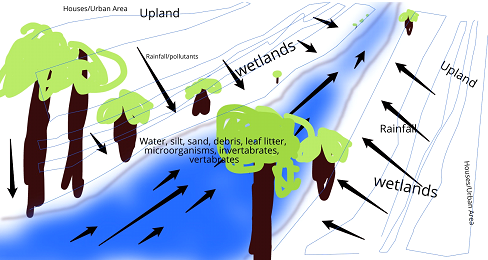 Photo of a Bronx River powerpoint presentation