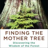 Finding the Mother Tree cover art