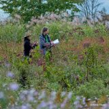 An image of Dan Pearson and Midori Sintani in the Tokachi Millennium Forest