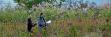 An image of Dan Pearson and Midori Sintani in the Tokachi Millennium Forest