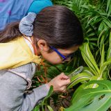 Photo of a child examining a tropical leaf with a magnifying glass