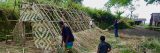 Photo of Vanuatu residents constructing a house from local plant materials