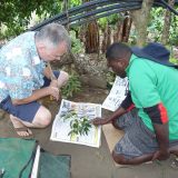 Photo of botanists examining a specimen in Vanuatu's forest