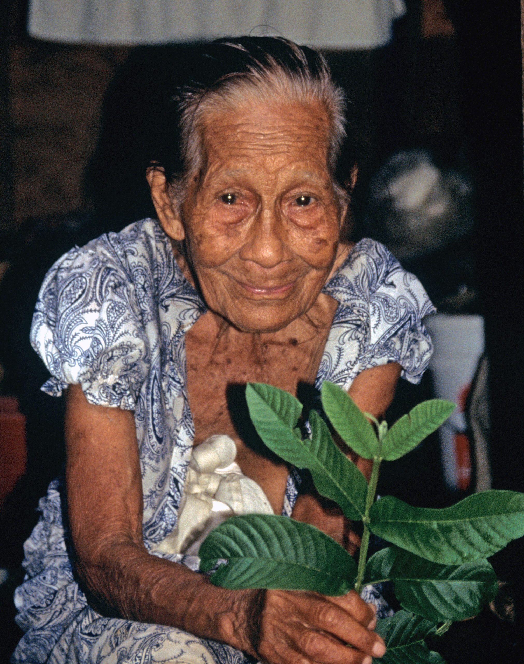 Marie David Healer Pohnpei: Marie David, a healer from Pohnpei, Federated States of Micronesia, holding a stem of the guava plant, Psidium guajava, widely known to treat diarrhea. The young leaves and stems can be chewed directly, or shavings of the bark made into a healing tea.