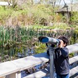 A child looking through binoculars nearby a wetland filled with a variety of plants.