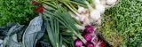 Photo of a variety of vegetables