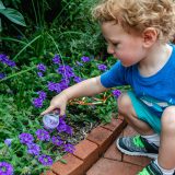 A child looking at flowers with a microscope in their hand