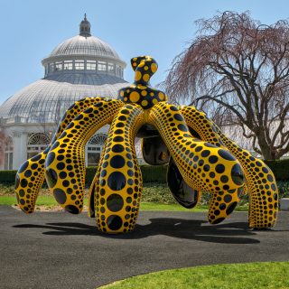  Dancing Pumpkin, 2020 (Dok. New York Botanical Gardens)