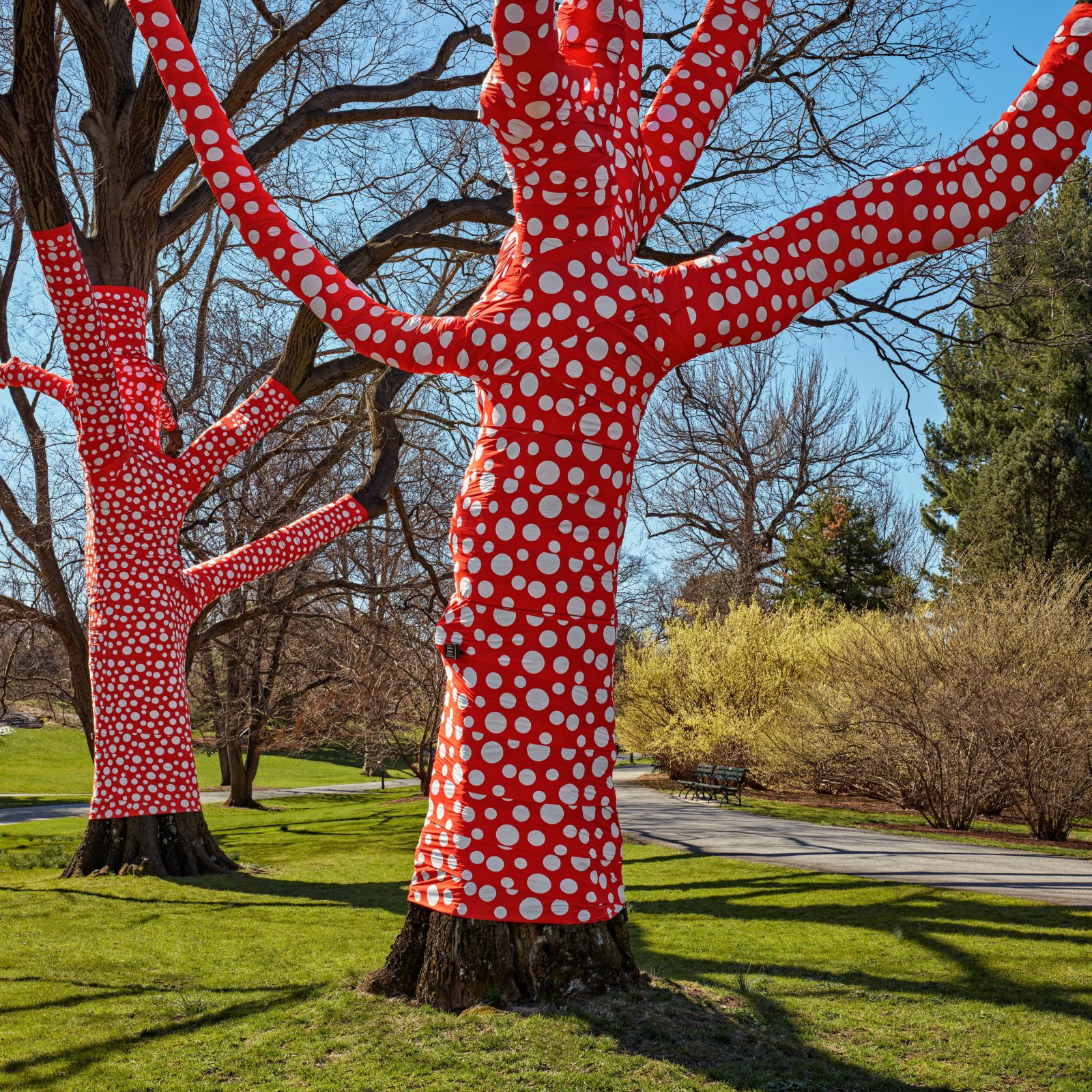 NYBG Press Room » KUSAMA Cosmic Nature Image Gallery