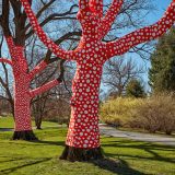 Trees wrapped in red fabric with white polka dots. More unwrapped trees and bushes can be seen in the background.
