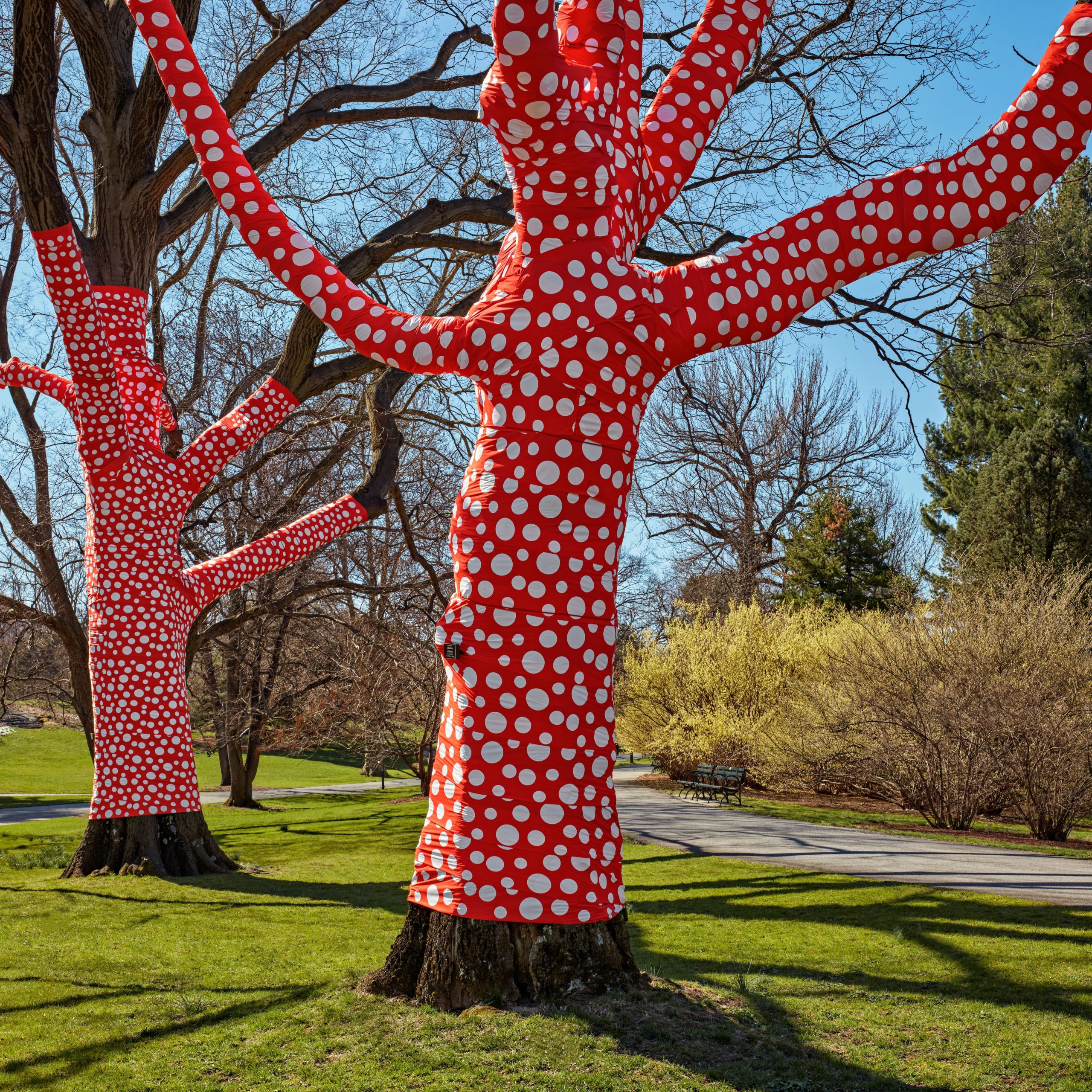 NYBG Press Room » KUSAMA: Cosmic Nature Image Gallery