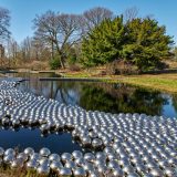 Hundreds of reflective metallic silver orbs float in a tiered reflecting pool. A mix of bare trees and evergreens can be seen in the background.