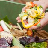 Close up of hands holding colorful yellow, green and orange food scraps being poured into a bin of more food scraps.