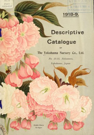 A cover of the Yokohama Nursery Co., Ltd. catalog featuring illustrations of pink Japanese cherry blossoms