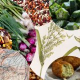 Photo of a collage of food plants