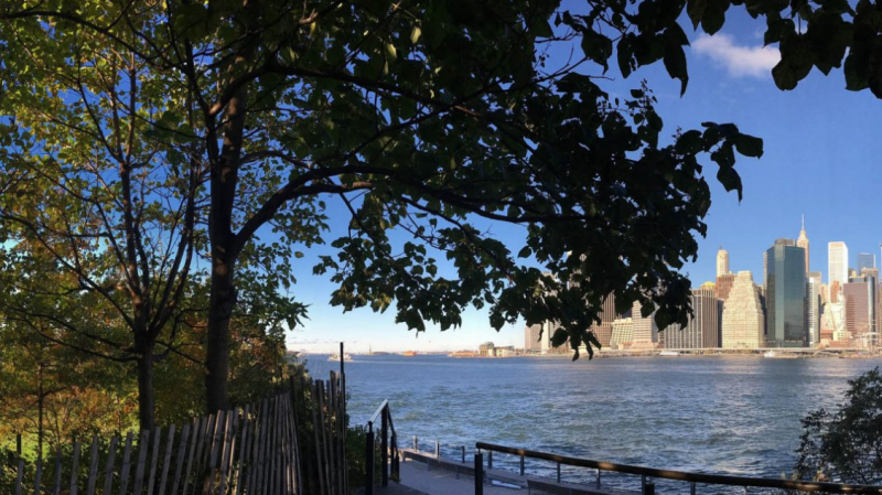 Photo of the New York skyline