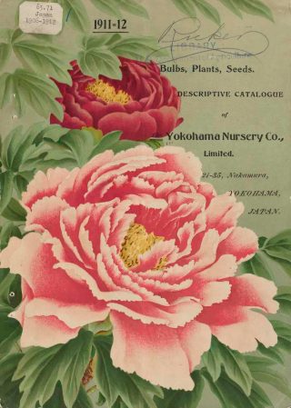 A catalog cover for Yokohama Nursery Co., featuring prominent billowy pink and red flowers.