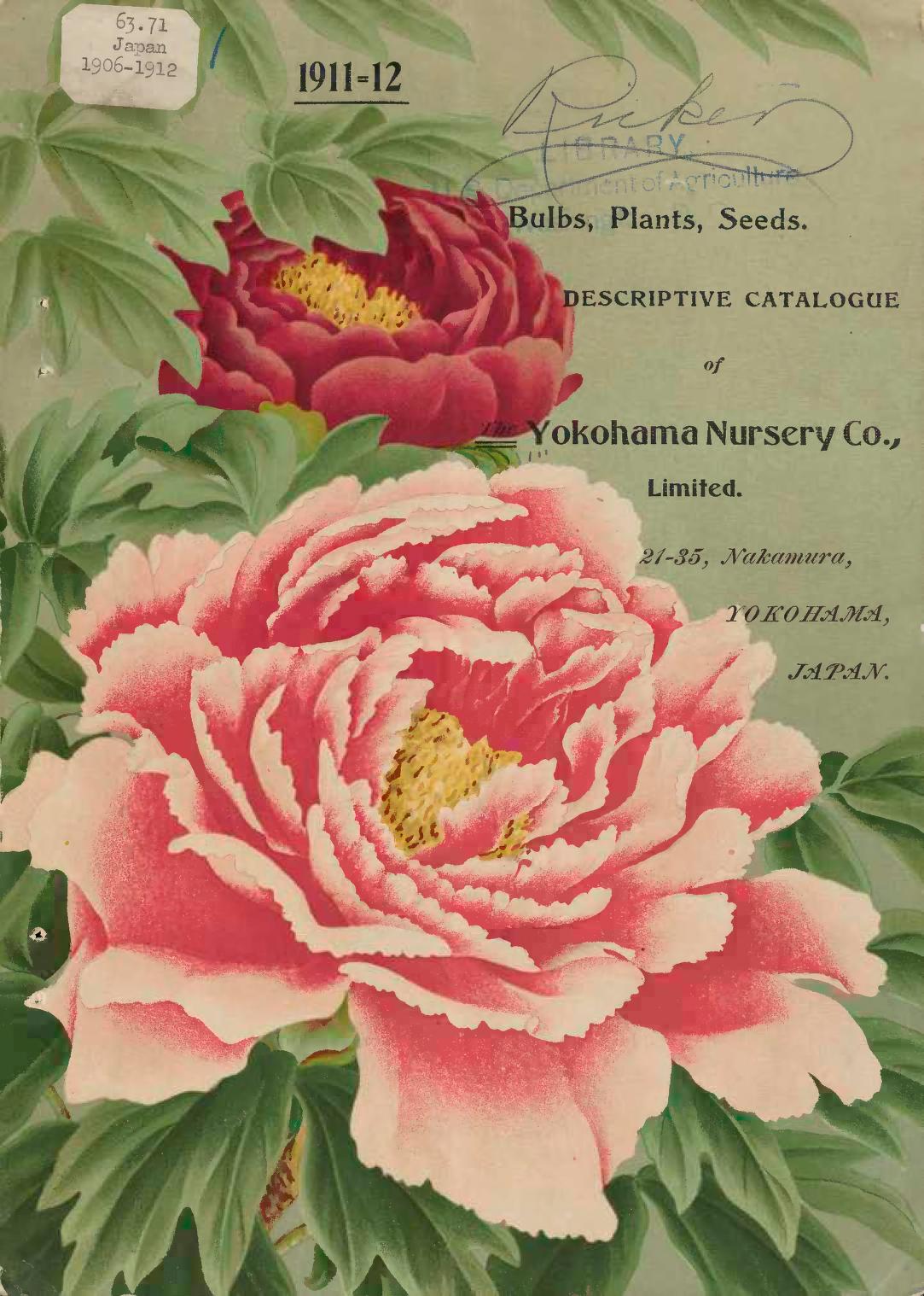 Yokohama Nursery Catalogs New York Botanical Garden