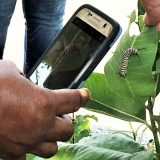 person capturing photo for EcoQuest