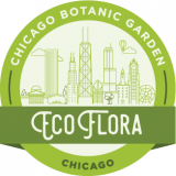 Chicago EcoFlora logo