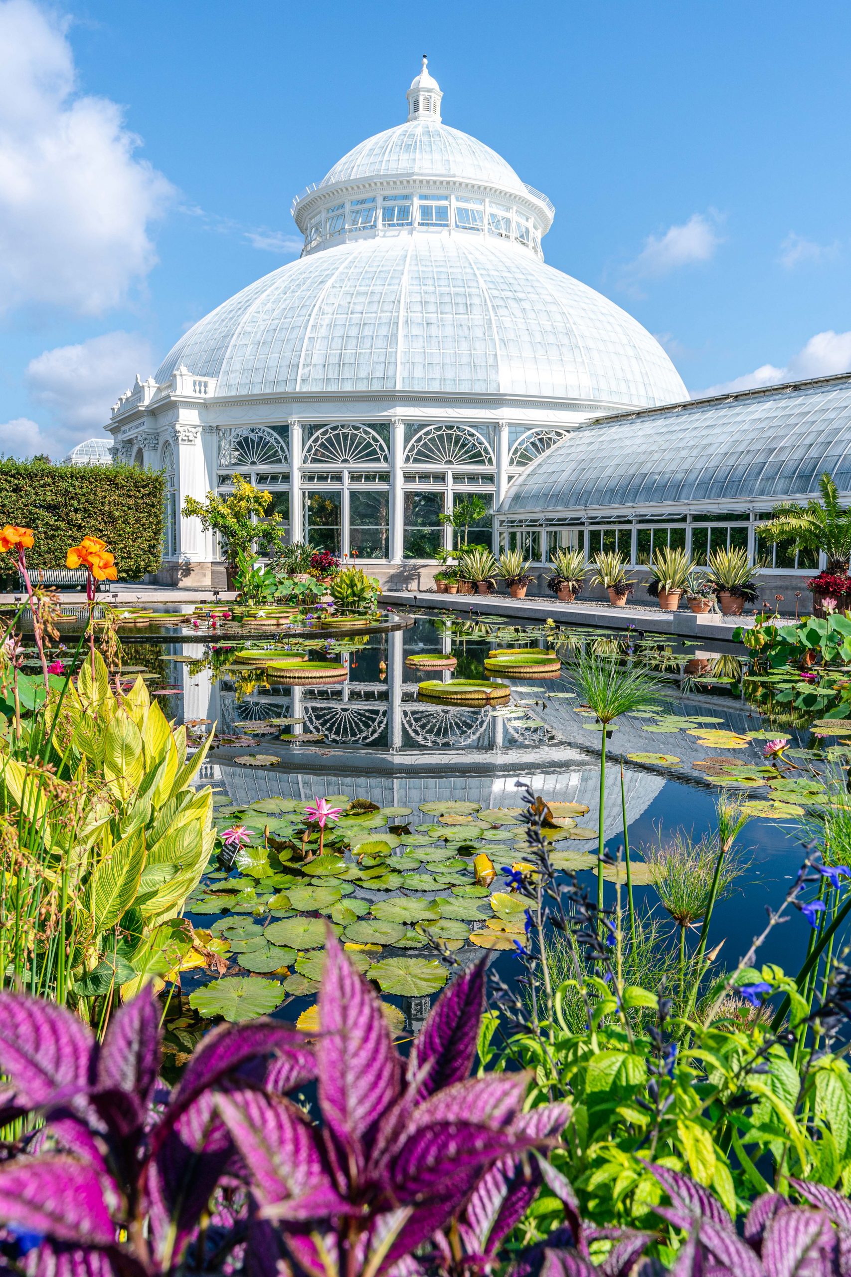 new york botanical garden research