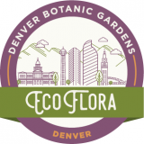 Denver EcoFlora logo