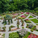 An aerial view of the Peggy Rockefeller Rose Garden