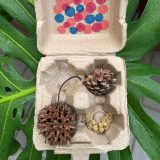 A decorated cardboard container covered in polka dots and filled with pine cones