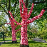 large trees with trunks wrapped in red and white polka dot fabric