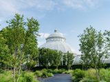 group of leafy trees framing view of glass conservatory dome and blue sky