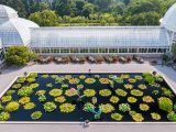 aerial photograph looking down on a conservatory courtyard pool with waterlilies