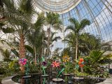palm trees under a glass conservatory dome with colorful flower sculptures in a pool of water