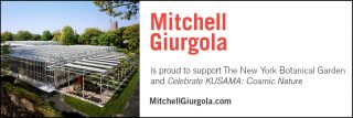 Mitchell Giurgula advertisement