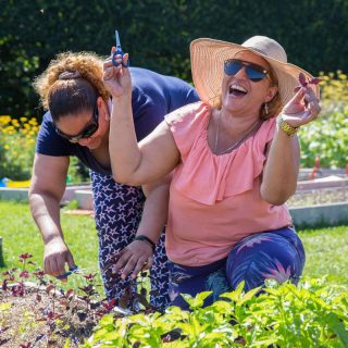 Two women in summer gardening attire laugh as they learn to harvest herbs from the Barnsley vegetable beds on a sunny day