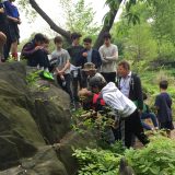 group of students attenda field trip in Central Park