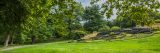 Lush deciduous leaves hanging from trees frame a scene of rocks planted with flowers and surrounded by green grass