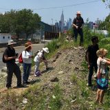community scientists observing plants in Gowanus