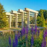 A series of geometric glass and cement structures rises up from a gravel foundation, surrounded by evergreen trees, purple blooming flowers, and grasses