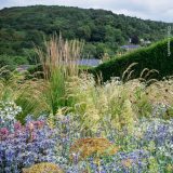 A riot of hardy grasses and flowering plants rises up in the foreground in browns, greens, and purples, while hedges and a forested hillside are visible in the distant background