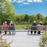 Four people sit on adjacent benches on a terrace, looking out over an expanse of rich green forest, lilac collection, a planted rose garden, and blooming shrubs, with a blue sky beyond