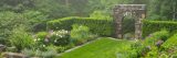 A gray stone archway bordered by tall green hedges frames a quiet private garden space, full of blooming alliums and flowering shrubs