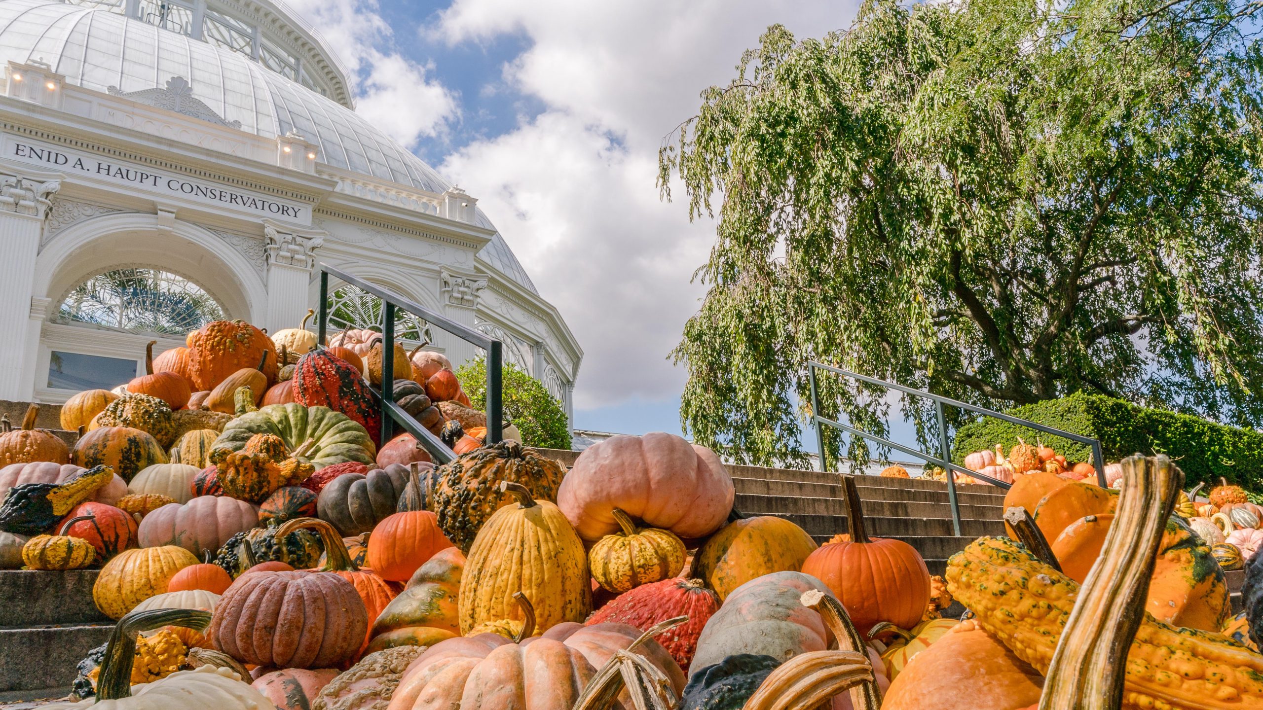 A hill of assembled pumpkins and gourds in green and orange covers a staircase leading up to a glass Conservatory dome