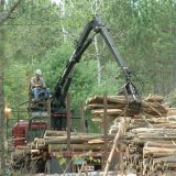 A man operating a piece of heavy equipment uses its claw arm to capture and lift lumber with a forest visible in the background