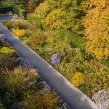 Aerial view of a path and yellow, green, purple colored bushes and low lying trees along side of the path on both sides. The path is cutting across the photo diagnoaly showing more trees filling the frame to the right.