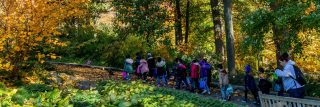 A line of children walking on a stone path