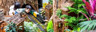 Two children looking at a model train